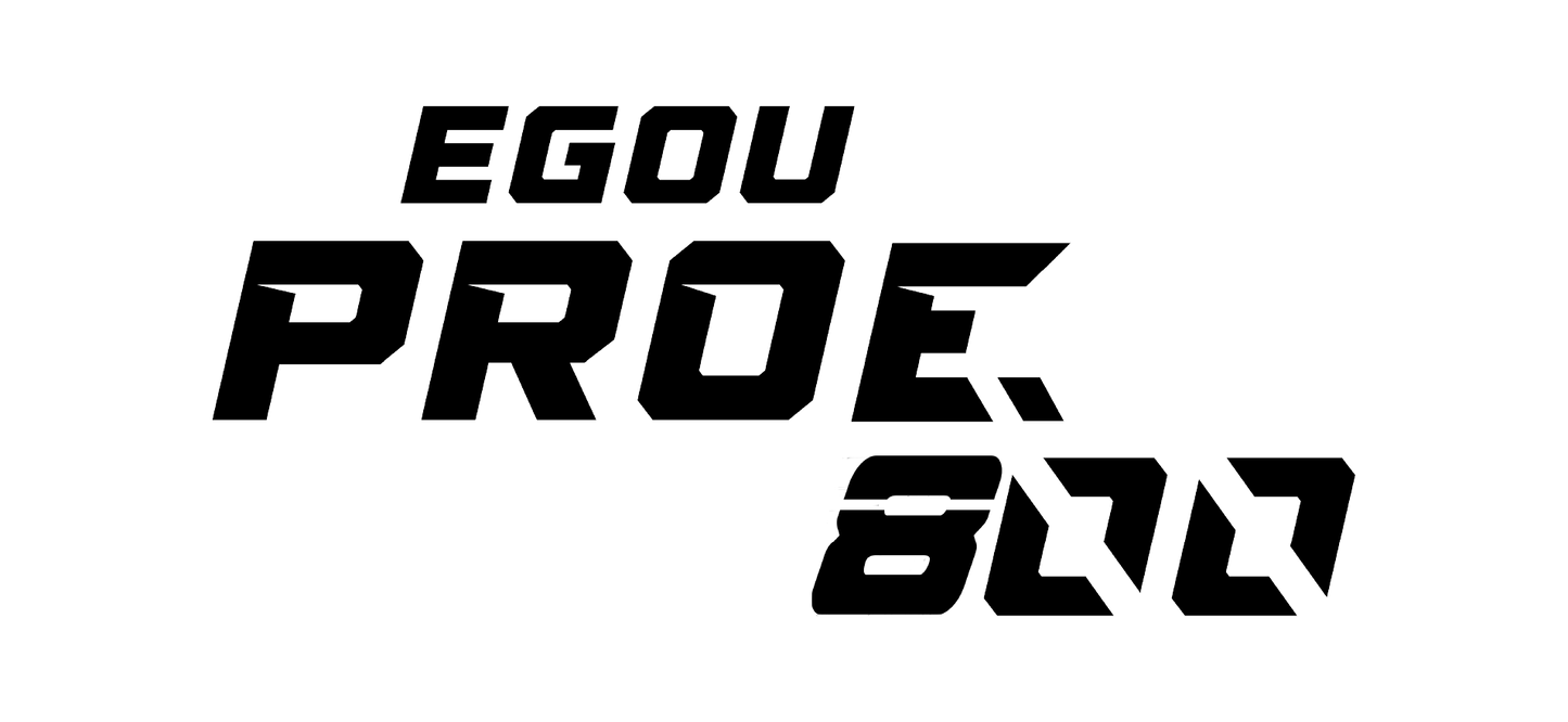 PRO-E - PATINETA ELÉCTRICA 500Watts